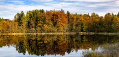 Gökyüzü zeminli ağaçlarla çevrili bir göl.