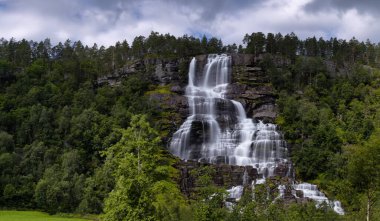 Ormanın ortasında bir şelale.