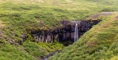 Ağaçlarla çevrili yemyeşil bir vadide bir şelale.