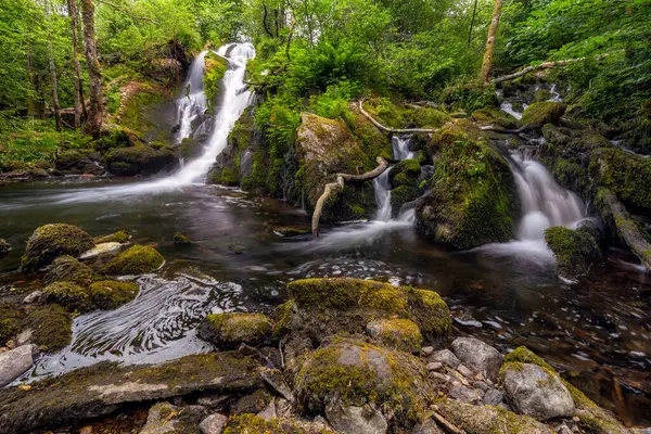 Uma Cachoeira Floresta Com Musgo Rochas — Fotografia de Stock