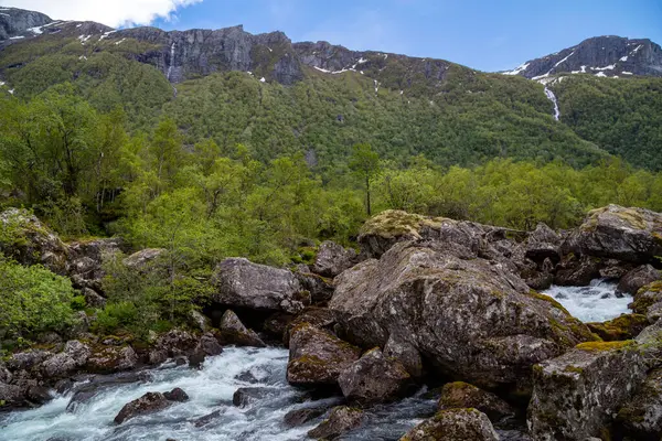 Bir nehir yemyeşil bir ormanın içinden akıyor.