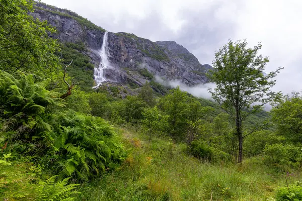 Yeşillik bir ormanın ortasında bir şelale.