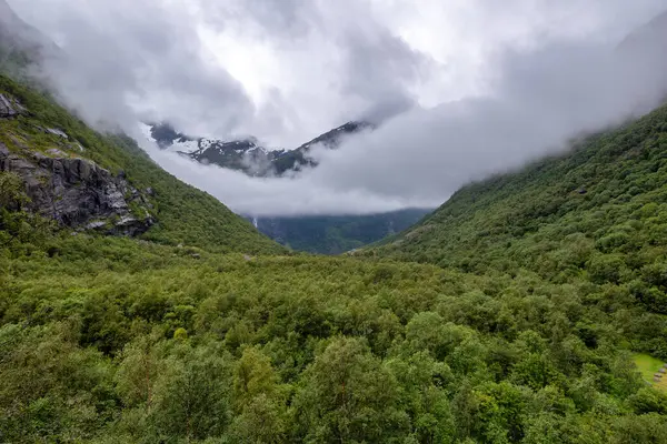 Arkasında dağ olan bir vadi.