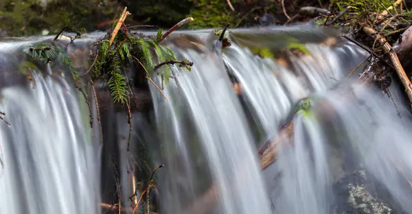 Üzerinde birkaç ağaç ve bitki yetişen bir şelale.