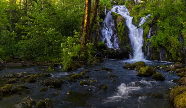 Ormanın ortasında bir şelale.