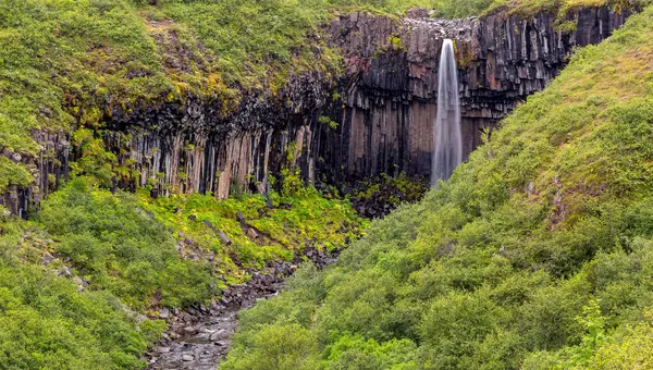 Ağaçlarla çevrili yemyeşil bir vadide bir şelale.