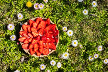 Çimlerin üzerinde ev yapımı çilekli kek ve bahçede yaz çiçekleri..