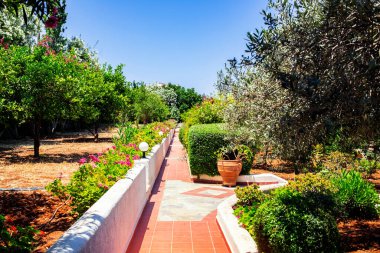 Akdeniz avlusunda. Eve giden yol bomboş. İç avlu Yunanca tipik kentleşme, insan yok.