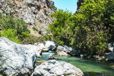 Dağlar, ormanlar ve palmiyelerle çevrili güzel şekilli kayalar ve taşların arasından akan egzotik masmavi nehir..