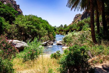 Dağlarla, ormanlarla ve palmiyelerle çevrili güzel şekilli ve renkli taşların arasından akan egzotik gök mavisi nehri manzarası.