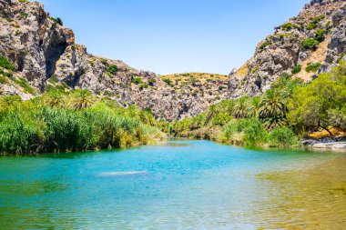 Dağlık ormanda ağaçlarla birlikte nehrin güzel doğal manzarası. Preveli 'nin gölündeki palmiye bahçesi..