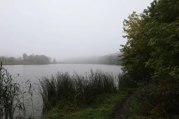 湖上的雨 — 图库照片