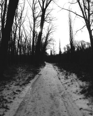 Road, path in the winter gloomy forest, black metal atmosphere clipart