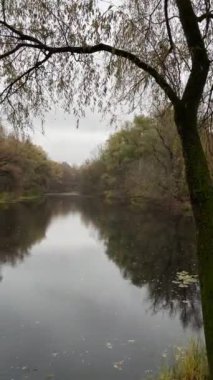 Autumn view of the forest across the lake