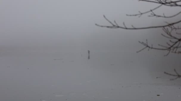 Hombre Niebla Hielo Centro Del Lago — Vídeos de Stock