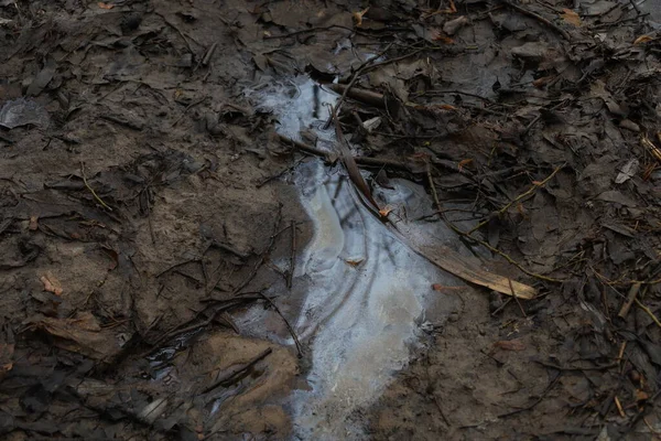 Забруднення Водосховища Відходами Нафти Забруднення Озера Екологія — стокове фото