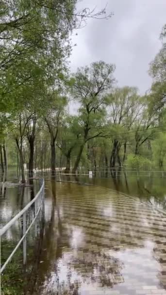 Översvämmad Park Väg Vatten Våröversvämningar Efter Stormen — Stockvideo