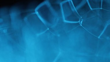 Makrodaki sıvının mavi yansımaları, siyah ve gümüş renkler, gökkuşağı, siyah ve gümüş baloncuklar, makrodaki baloncukların bağlantısı, sıvıdan hücre, moleküller bağlantısı, sıvılar, su hareketi