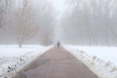 Yoğun sisli bir adamın silueti, ormanda yol, kış parkı atmosferi, yürüyen bir adam.