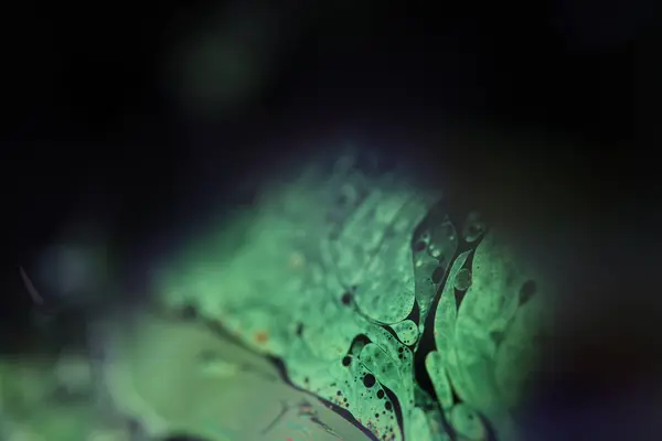 Koyu kırmızı arka planda yeşil köpük, parlak sıcak ışık, akışkan soyutlama, doğal arkaplan