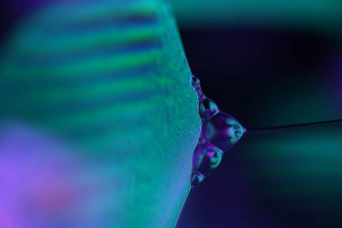 Sıvının makrodaki parlak yansıması, gökkuşağı renkleri, gökkuşağı arkaplanı, makrodaki mavi kabarcıklar, makrodaki baloncukların bağlantısı, sıvıdan hücre, molekül bağlantısı, ultra makro