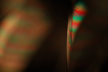 Yeşil yansımalar, parlak sıcak ışık, akışkan soyutlama, doğal arka plan, minimalist soyutlama, minimalist yağ arka plan, biyolojik hücreler, doğal yağ dokusu, 