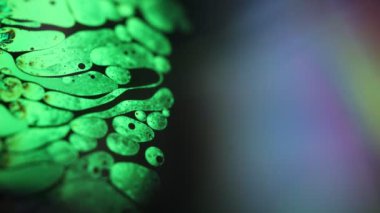 Yeşil sıvı fenomen yapısı, koyu arkaplanda yeşil yağlar, renkli soyut, sürrealist sanat, ışık çizgisi