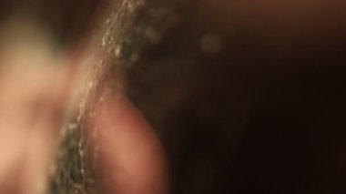 Yeşil sıvı fenomen yapısı, koyu arkaplanda yeşil yağlar, renkli soyut, sürrealist sanat, ışık çizgisi