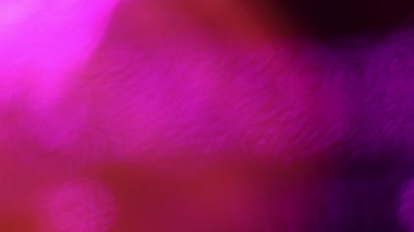 Kırmızı ve pembe sıvı deseni, sıvı zemin, plazma, sıvı hareketi, karanlık kasvetli arka plan, pürüzsüz hareket, jöle soyut