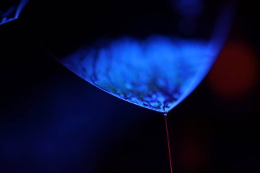 Siyah zemin üzerinde mor sıvı desen, akışkan hareket, karanlık korku arka planı, makro sıvı, düz eğim