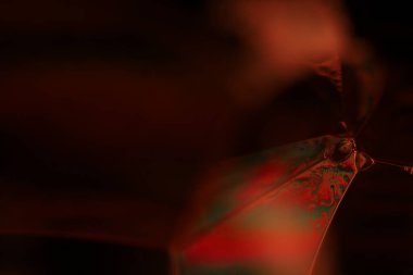 Makrodaki sıvının kırmızı yansımaları, sıvı yüzey, makrodaki kabarcıklar, makrodaki baloncukların bağlantısı, sıvıdan hücre, korku arka planı, mükemmel parlak doku.