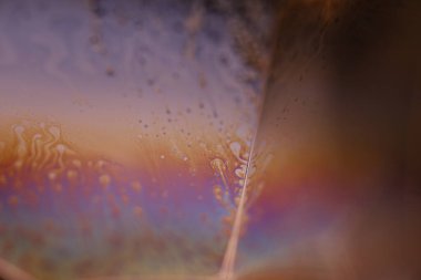 Makrodaki sıvı gökkuşağı düz film, parlak sıvı yüzey, parazit kalıbı, makrodaki kabarcıklar, makrodaki baloncukların bağlantısı, sıvıdan hücre, makro soyutlama.