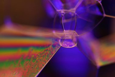 Yeşil ve mavi sıvı hücreler, koyu makro soyutlama, kabarcıklar formu, bilimsel makro arkaplan, düz hareket