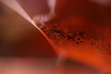 Makrodaki sıvının kırmızı yansımaları, kırmızı sıvı yüzey, makrodaki kabarcıklar, makrodaki kabarcıkların bağlantısı, sıvıdan hücre, korku arka planı, parlak yüzey panelleri