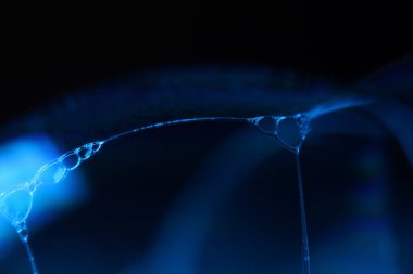 Mavi baloncuk hareketi, bilimsel soyutlama, parlak yüzey