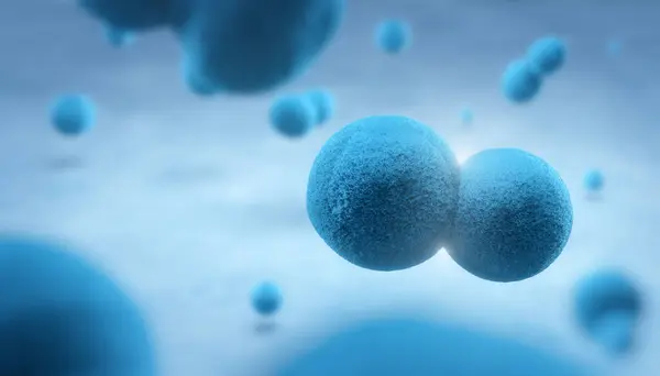 Иллюстрация Эмбриональных Стволовых Клеток Концепция Научного Фона Стоковая Картинка