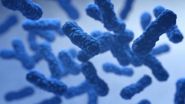 Mikroskobik Mavi Bakterinin Kapanışı, 3B görüntüleme