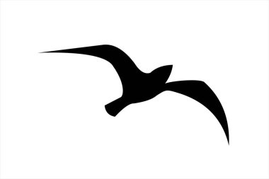 Crow İllüstrasyon Simgesi Tasarımı