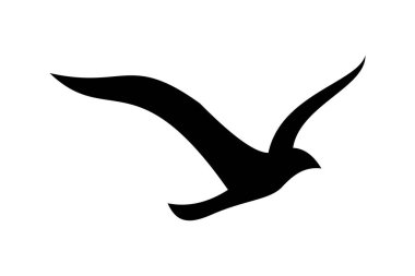 Crow İllüstrasyon Simgesi Tasarımı