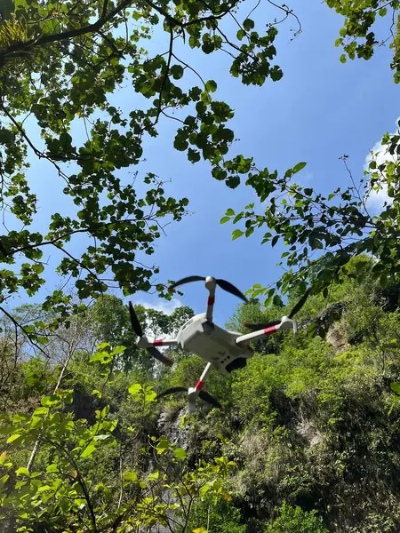 Drone ormanda uçuyor.