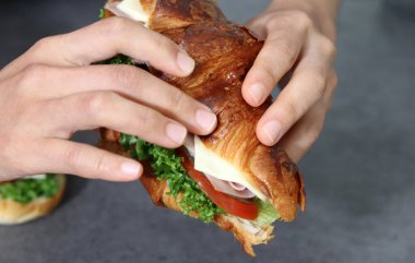 Sandviç tutan bir elin görüntüsünü kapat. Sebzeli ekmek ve jambon..