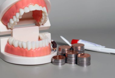 Yaşlılar için diş masraflarının yükü. Yaşlı bir adam ve diş modelinin önünde bir yığın bozuk para..