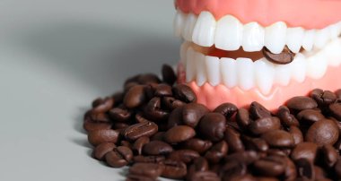 Model dişlerinin arasında kahve çekirdekleri. Diş sağlığı bozuk içecek konsepti.