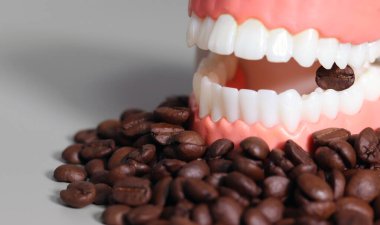 Model dişlerinin arasında kahve çekirdekleri. Diş sağlığı bozuk içecek konsepti.