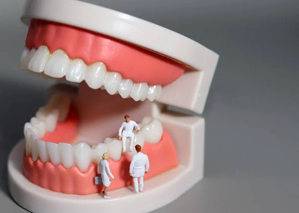 Dentist miniature people discussing teeth. Miniature people in tooth models.