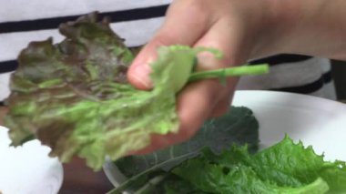 Domuz göbeğini sarımsaklı marul yapraklarına sarın. Et ve Ssam..