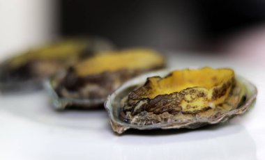 Beyaz tabakta istiridye. Taze deniz ürünleri buğulama.