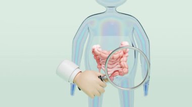 Üç boyutlu insan bağırsağı, yeşil arka planda izole edilmiş büyüteçle doktorun elini tutuyor. Sindirim sistemi, bağırsak sağlığı konsepti, 3D illüstrasyon, alfa kanalını kontrol et.