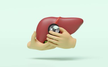 Doktor elinde steteskop tutarken yeşil arka planda 3D gerçekçi karaciğer. karaciğer sağlığı, sağlık aşkı, dünya hepatit günü konsepti, 3D illüstrasyon sunucusu
