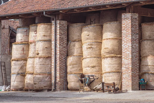 Hay bales storage in a farm building. Intensive animal farming or industrial livestock production, factory farming